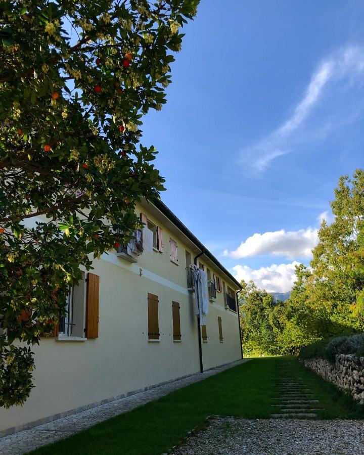 Beehouse - La Casa Delle Api Agriturismo Borso del Grappa Εξωτερικό φωτογραφία